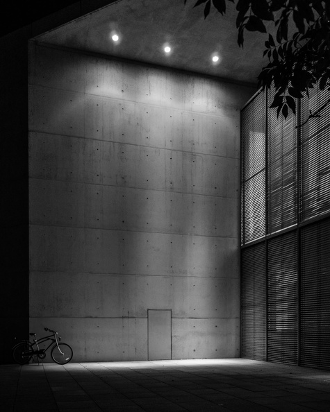Kunstmuseum Bonn